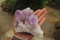 Natural Jacaranda Amethyst Quartz Clusters x 3 from Mumbwa, Zambia