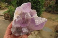 Natural Jacaranda Amethyst Quartz Clusters x 3 from Mumbwa, Zambia