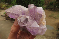 Natural Jacaranda Amethyst Quartz Clusters x 3 from Mumbwa, Zambia