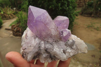 Natural Jacaranda Amethyst Quartz Clusters x 3 from Mumbwa, Zambia