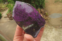 Polished On One Side Metallic Purpurite Specimens x 6 From Namibia