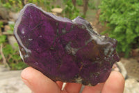 Polished On One Side Metallic Purpurite Specimens x 6 From Namibia