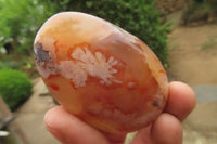 Polished Flower Agate Palm Stones x 12 From Madagascar