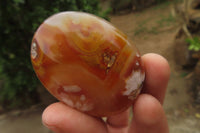 Polished Flower Agate Palm Stones x 12 From Madagascar