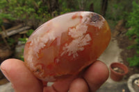 Polished Flower Agate Palm Stones x 12 From Madagascar