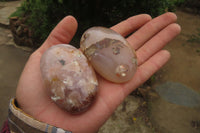 Polished Flower Agate Palm Stones x 12 From Madagascar