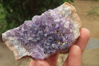 Natural Zululand Amethyst Agate Geodes x 12 from Jozini, South Africa