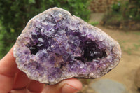 Natural Zululand Amethyst Agate Geodes x 12 from Jozini, South Africa