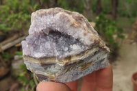 Natural Zululand Amethyst Agate Geodes x 12 from Jozini, South Africa