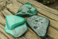 Polished Flower Banded Malachite Free Forms x 6 From Congo