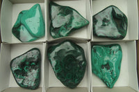 Polished Flower Banded Malachite Free Forms x 6 From Congo