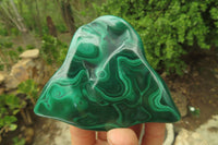 Polished Flower Banded Malachite Free Forms x 6 From Congo