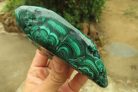 Polished Flower Banded Malachite Free Forms x 6 From Congo