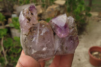 Polished Amethyst Window Quartz Crystals x 4 From Akansobe, Madagascar