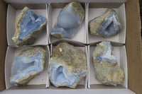 Natural Blue Lace Agate Geode Specimens x 6 From Malawi