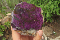 Polished On One Side Metallic Purpurite Specimens x 3 From Namibia