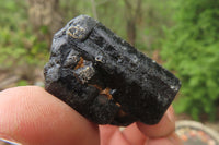 Natural Alluvial Schorl Black Tourmaline Crystals x 18 From Zimbabwe