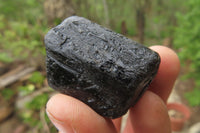 Natural Alluvial Schorl Black Tourmaline Crystals x 18 From Zimbabwe