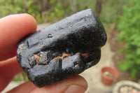 Natural Alluvial Schorl Black Tourmaline Crystals x 18 From Zimbabwe