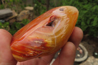 Polished Carnelian Standing Free Forms x 6 From Madagascar