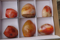 Polished Carnelian Standing Free Forms x 6 From Madagascar