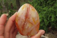 Polished Carnelian Standing Free Forms x 6 From Madagascar