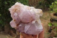 Natural Amethyst Cactus Flower Spirit Quartz Clusters x 2 From Boekenhouthoek, South Africa