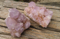 Natural Amethyst Cactus Flower Spirit Quartz Clusters x 2 From Boekenhouthoek, South Africa