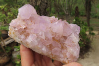 Natural Amethyst Cactus Flower Spirit Quartz Clusters x 2 From Boekenhouthoek, South Africa