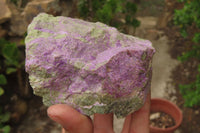 Natural Stichtite Cobbed Specimens x 5 From Barberton, South Africa