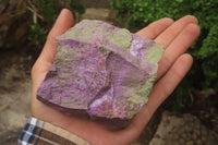 Natural Stichtite Cobbed Specimens x 5 From Barberton, South Africa