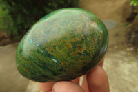 Polished Green Verdite Palm Stones x 12 From Zimbabwe