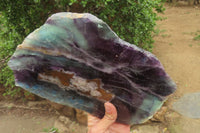 Polished Watermelon Fluorite Slice x 1 From Uis, Namibia