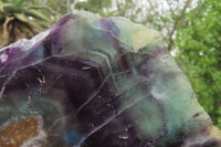 Polished Watermelon Fluorite Slice x 1 From Uis, Namibia