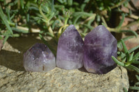 Polished Smokey Amethyst Window Quartz Crystals x 20 From Akansobe, Madagascar