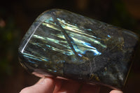 Polished Labradorite Standing Free Forms x 3 From Tulear, Madagascar