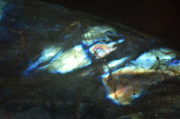 Polished Labradorite Standing Free Forms x 3 From Tulear, Madagascar