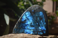 Polished Labradorite Standing Free Forms x 3 From Tulear, Madagascar