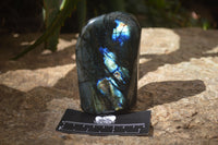 Polished Labradorite Standing Free Forms x 3 From Tulear, Madagascar