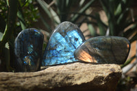 Polished Labradorite Standing Free Forms x 3 From Tulear, Madagascar