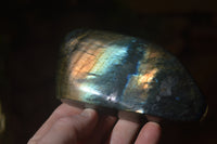 Polished Labradorite Standing Free Forms x 3 From Tulear, Madagascar