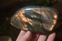 Polished Labradorite Standing Free Forms x 3 From Tulear, Madagascar