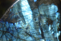 Polished Labradorite Standing Free Forms x 3 From Tulear, Madagascar