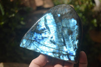 Polished Labradorite Standing Free Forms x 3 From Tulear, Madagascar