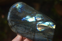 Polished Labradorite Standing Free Forms x 3 From Tulear, Madagascar