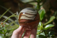 Polished Polychrome Jasper Spheres x 5 From Madagascar