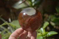 Polished Polychrome Jasper Spheres x 5 From Madagascar