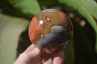 Polished Polychrome Jasper Spheres x 5 From Madagascar