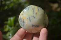 Polished Dendritic Opal Palm Stones x 12 From Moralambo, Madagascar