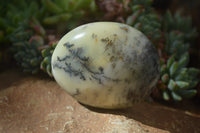 Polished Dendritic Opal Palm Stones x 12 From Moralambo, Madagascar